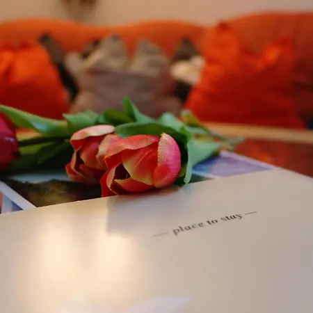 דירה Fernerkogel *