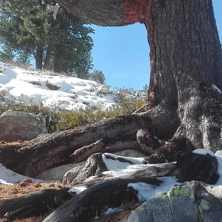 דירה Fernerkogel