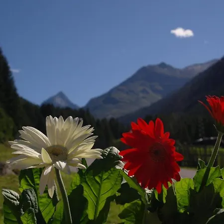 Fernerkogel * Gries im Sellrain