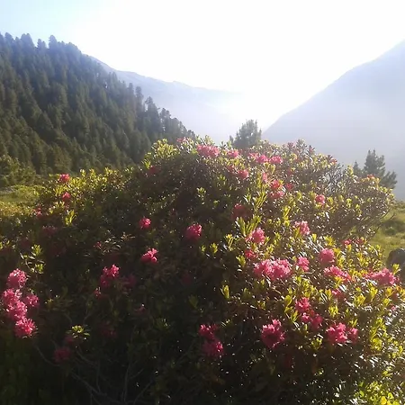 Apartamento Fernerkogel *