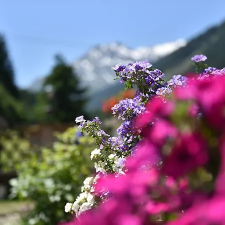 Fernerkogel *