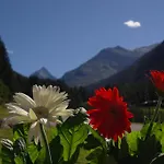Fernerkogel * Gries im Sellrain