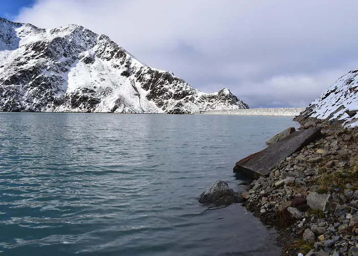 فيرنيركوغيل * غريس ام سيلراين