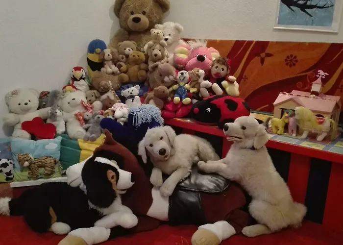 شقة فيرنيركوغيل