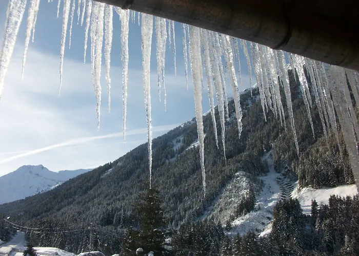 فيرنيركوغيل غريس ام سيلراين