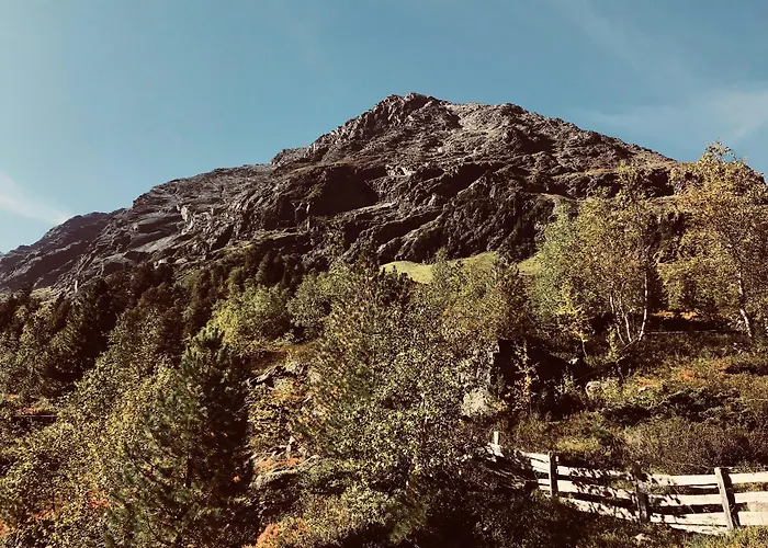 فيرنيركوغيل