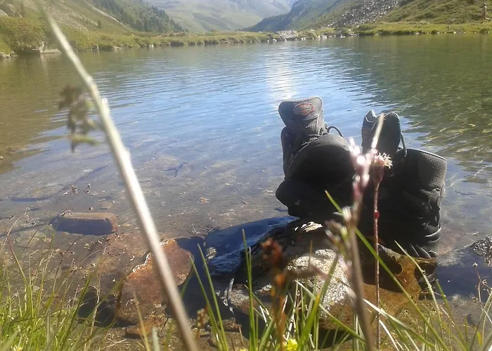 فيرنيركوغيل