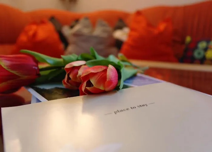 شقة فيرنيركوغيل *