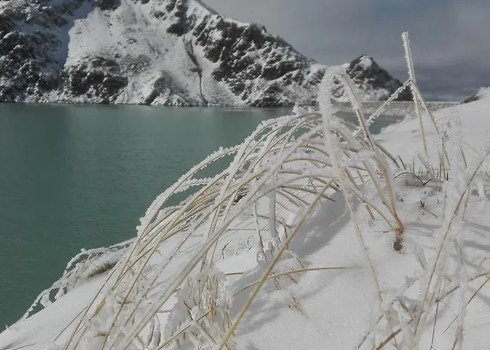 فيرنيركوغيل شقة غريس ام سيلراين