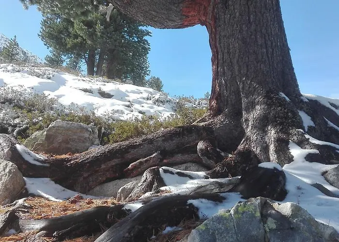 شقة فيرنيركوغيل