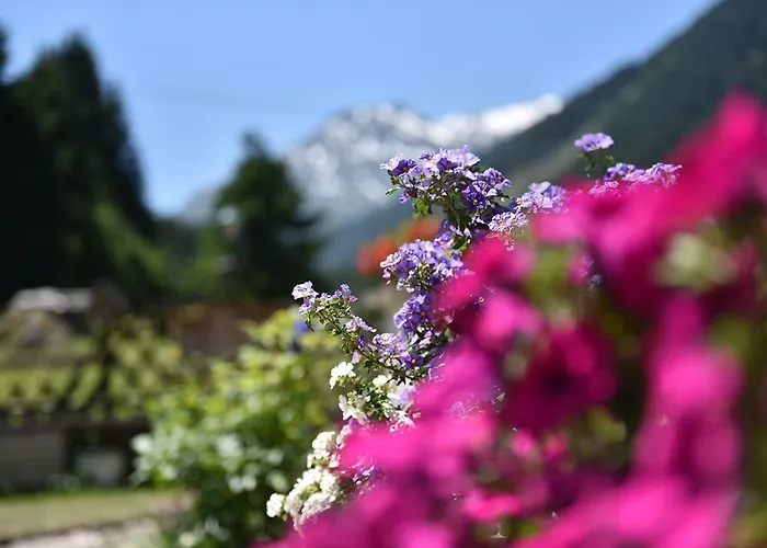 فيرنيركوغيل *